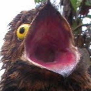 Meet your Posher, Mari